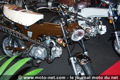 Le Dax joue les prolongations avec le Spigaou