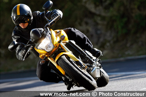 Annulation de la Hornet Cup 2008 : Pourquoi ?