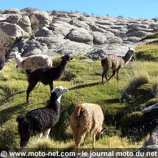 Voyage moto Bornes in America : à la découverte de l'Amérique du Sud en 125 !