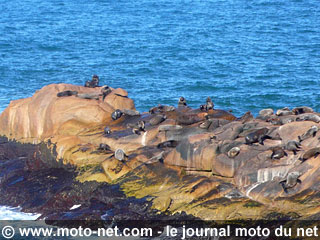 Voyage moto Bornes in America : à la découverte de l'Amérique du Sud en 125 !