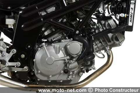 Hyosung Cup : le bon plan coréen !