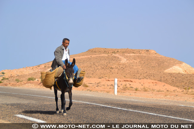 Tunisia Rally Tour 2012 (J4) : un parfum de rallye raid