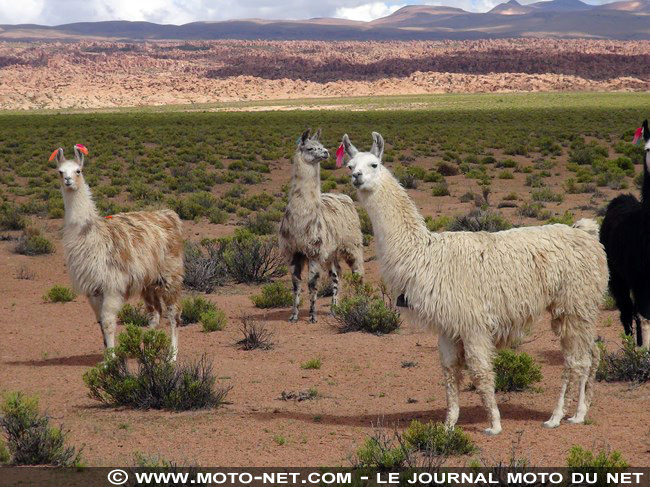 Amérique latine à moto (09) : dernier bivouac en Colombie