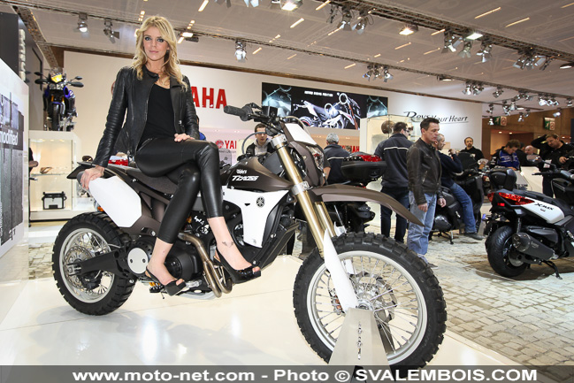 Galerie photo : balade au Salon de la moto de Paris 2013