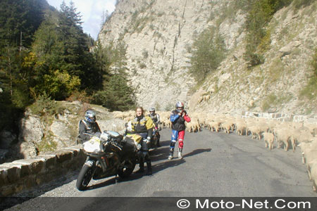 Dark Dog Moto Tour 2005 : grosse fatigue !