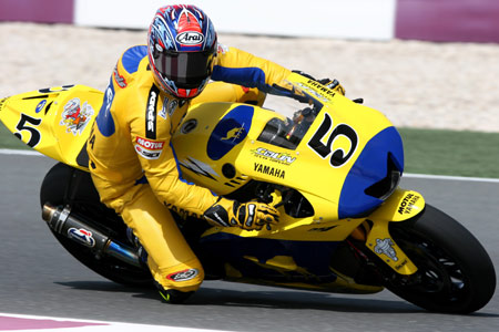 Les Camel rois du désert