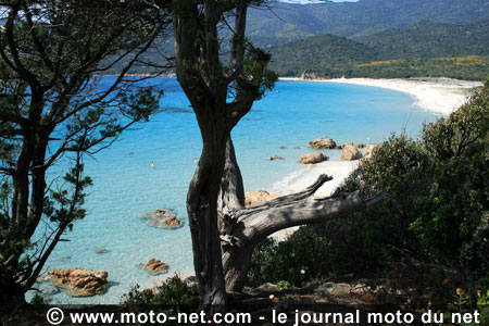 Premier Rallye de Corse: la course de l'indépendance !