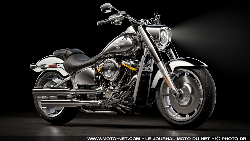 Série limitée Harley-Davidson Fat Boy Gray Ghost