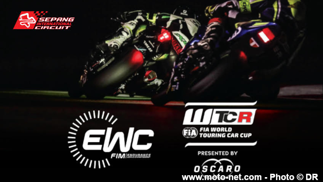 Les 8 Heures de Sepang auront finalement lieu le 14 décembre 2019