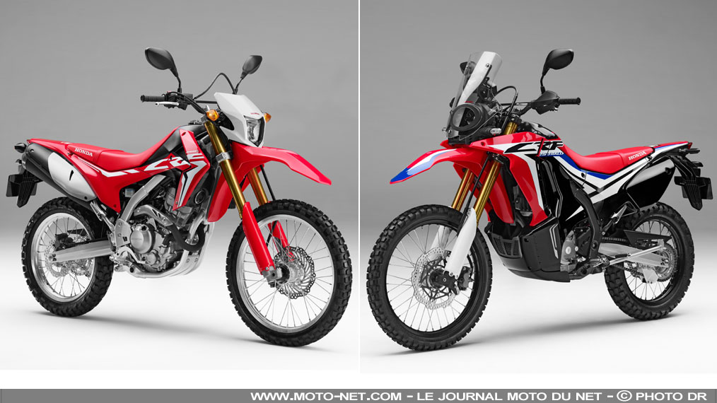 Honda CRF250L et CRF250 Rally : premières informations