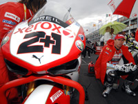 Le retour des deux rois australiens !