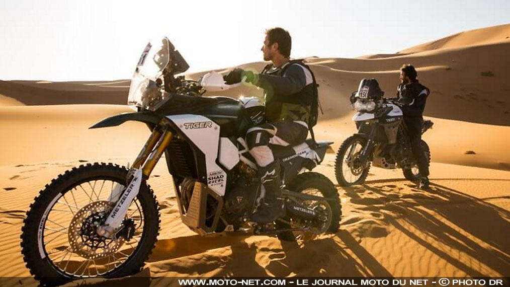 Triumph engage sa Tiger 800 Tramontana au rallye PanAfrica 2017